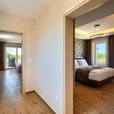 Modern Blagdan With Pool In Porec Villa *