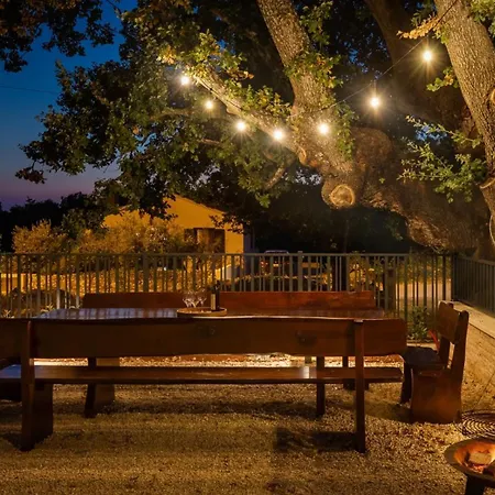 Vila Modern Blagdan With Pool In Porec *