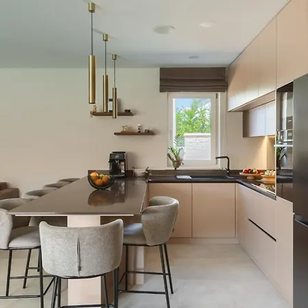 Modern Blagdan With Pool In Porec Nova Vas