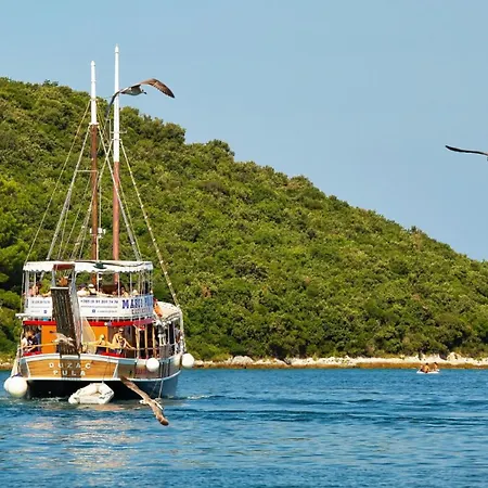 Modern Blagdan With Pool In Porec Villa