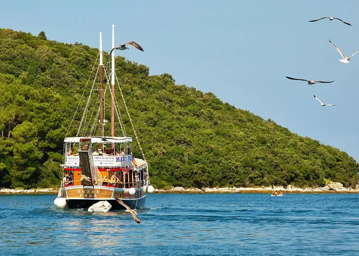 Modern Blagdan With Pool In Porec Vila